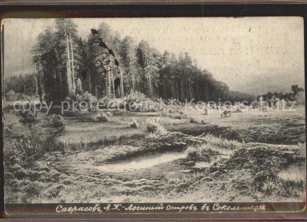 Russland Wald Tiere