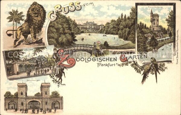Zoo Frankfurt Löwe Affenhaus Bärenzwinger A