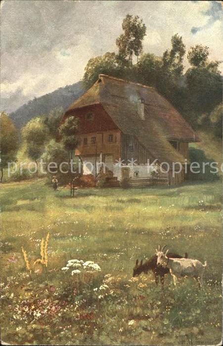 Hoffmann Heinrich Im blühenden Wiesengrund Schwarzwaldhau