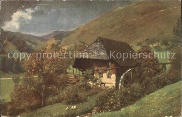 Hoffmann Heinrich Mühle im Schwarzwald