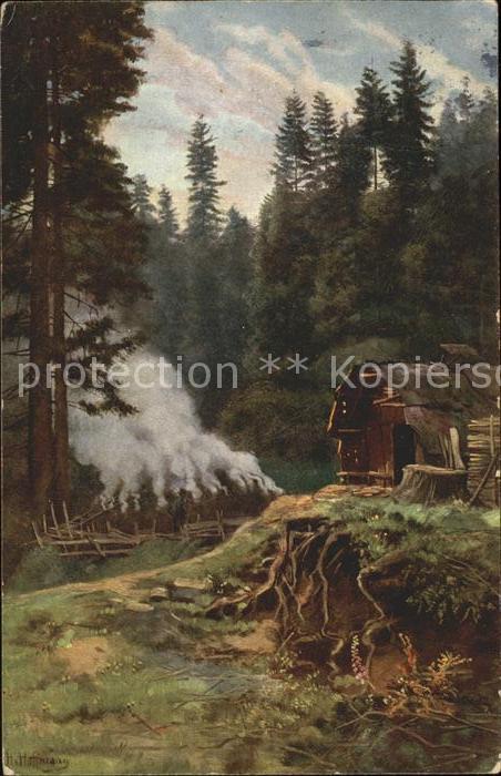 Hoffmann Heinrich Köhler im Schwarzwald Nr. 10