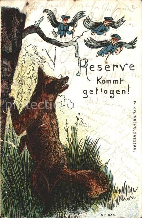 Reserve Flug fliegen Fuchs