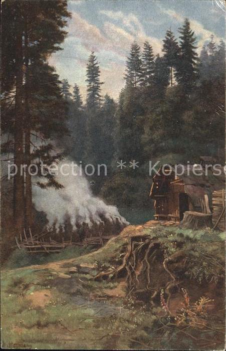 Hoffmann Heinrich Köhler im Schwarzwald Nr. 195