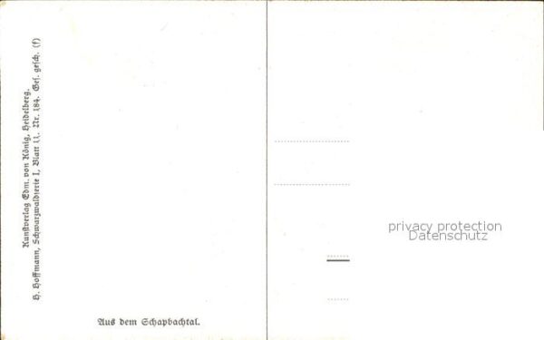 Hoffmann Heinrich Schapbachtal Nr. 184 Schwarzwaldhaus – Bild 2