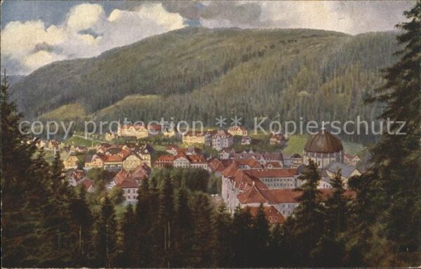 Hoffmann Heinrich St. Blasien Nr. 201