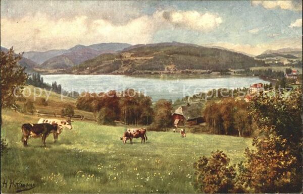 Hoffmann Heinrich Titisee mit Feldberg Kühe Weide
