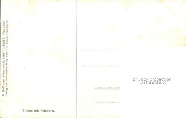 Hoffmann Heinrich Titisee mit Feldberg Kühe Weide – Bild 2
