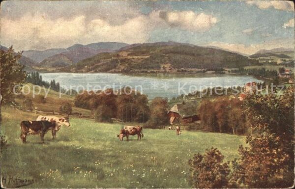 Hoffmann Heinrich Titisee mit Feldberg Nr. 201 Kühe Weide