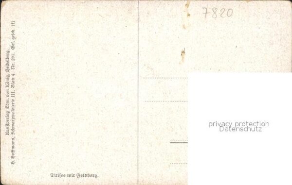 Hoffmann Heinrich Titisee mit Feldberg Nr. 201 Kühe Weide – Bild 2