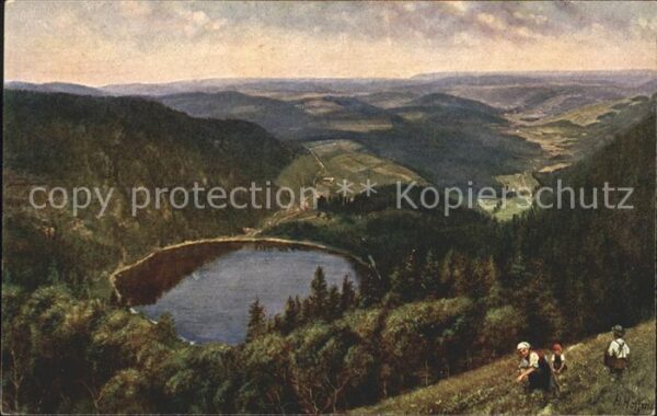 Hoffmann Heinrich Feldberg-Seebuck Feldsee Nr. 203