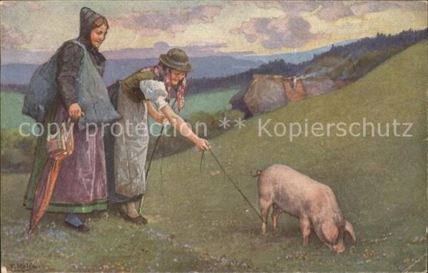 Reiss Fritz Schwarzwälder Leben Schwein Elchlepp Ve