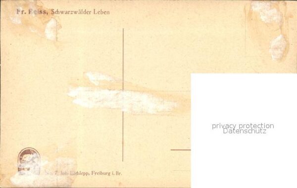 Reiss Fritz Schwarzwälder Leben Schwein Elchlepp Ve – Bild 2