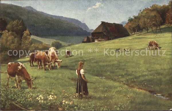 Hoffmann Heinrich Weidende Herde Nr. 179 Kühe