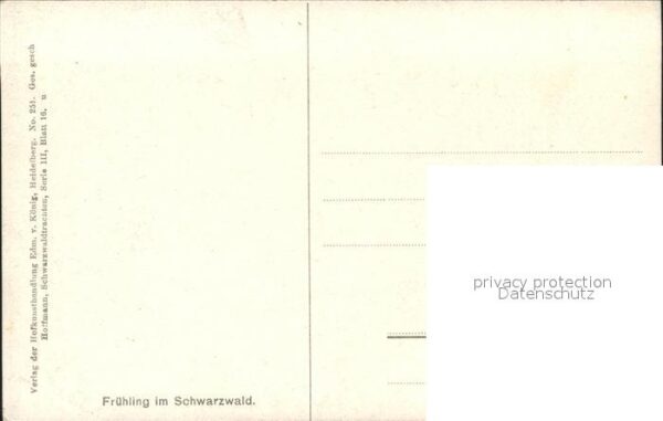 Hoffmann Heinrich Frühling im Schwarzwald Nr. 251 Kinder – Bild 2