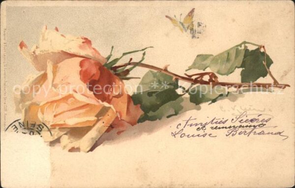 Klein Catharina Kuenstlerlitho Rose Schmetterling Meissner und Buch Ve
