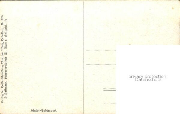 Hoffmann Heinrich Hinter-Todtmoos Nr. 205 – Bild 2