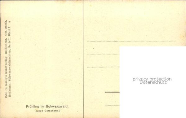 Hoffmann Heinrich Frühling im Schwarzwald Junge Gutacheri – Bild 2