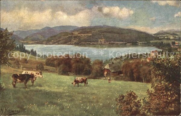 Hoffmann Heinrich Titisee mit Feldberg Nr. 201 Kühe Weide