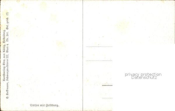 Hoffmann Heinrich Titisee mit Feldberg Nr. 201 Kühe Weide – Bild 2