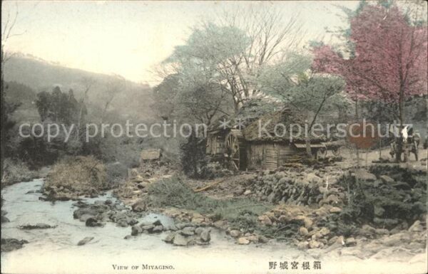 Japan View of Miyagino