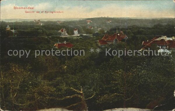 Bloemendaal Gezicht van af Koninginneduin