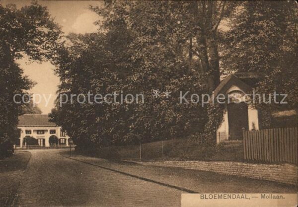 Bloemendaal Mollaan