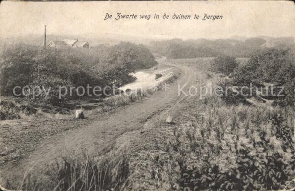 Bergen aan Zee De Zwarte weg in de duinen Dünen