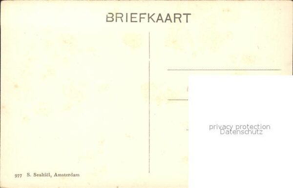 Bergen aan Zee Russenduin – Bild 2