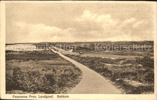 Bakkum Panorama Provinciaal Landgoed