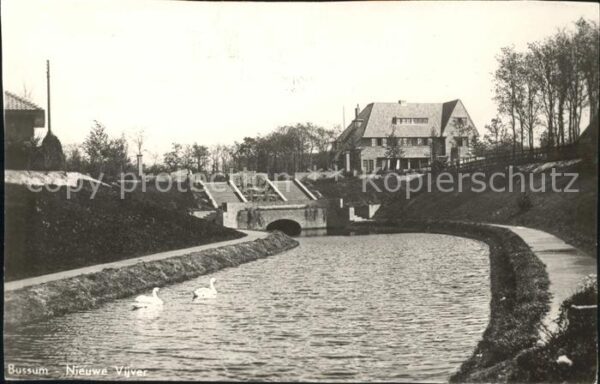 Bussum Nieuwe Vijver Schwan
