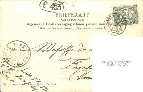 Naarden Huize Flevo Rama Viehweide Kühe – Bild 2