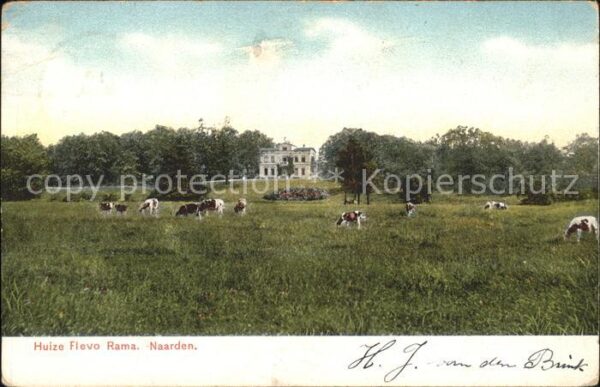 Naarden Huize Flevo Rama Viehweide Kühe