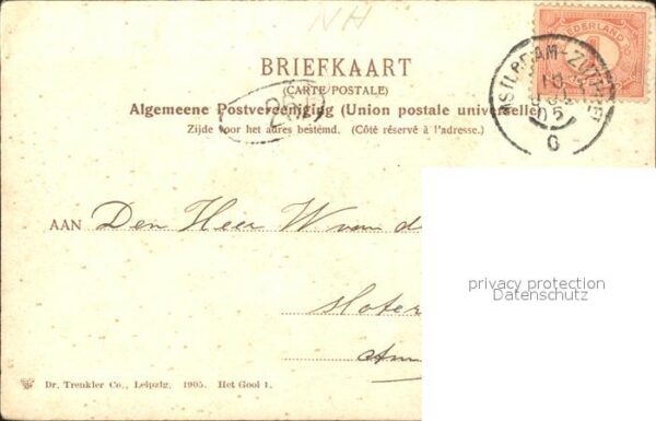 Naarden Huize Flevo Rama Viehweide Kühe – Bild 2