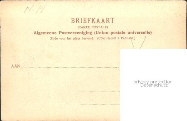 Marken Rozenwerf – Bild 2