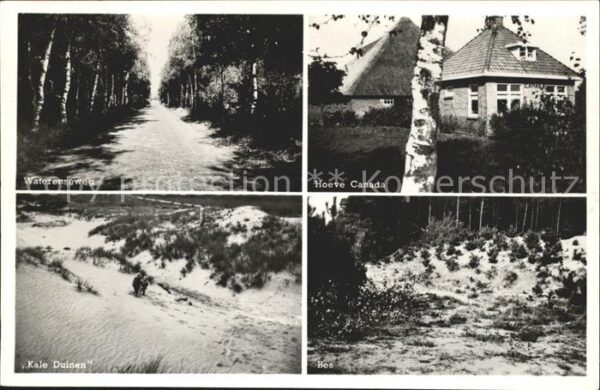 Zorgvlied Kampeerhoeve Canada Duinen Bos
