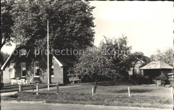 Ees Kampeerboerderij Camping