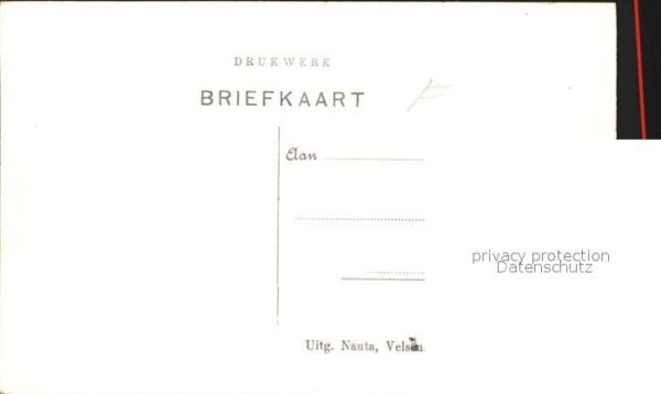 Workum Makkummerdijk Kühe – Bild 2