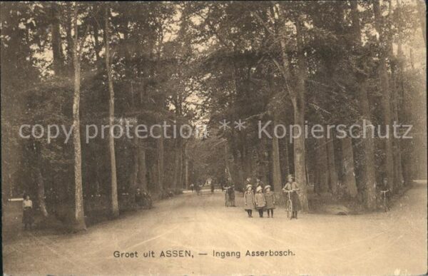 Assen Ingang Asserbosch
