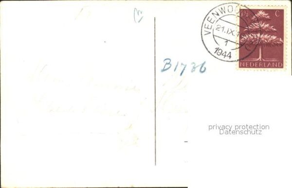 Veenwouden Mooi Nederland Baumblüte – Bild 2