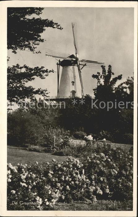 Haamstede De Graanhalm Molen Windmühle