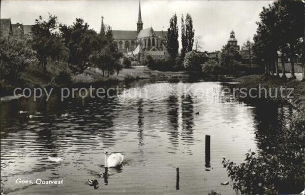 Goes Netherlands Oostvest Kerk Schwan Kirche