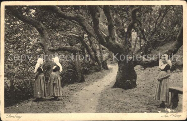 Domburg Waldweg Trachten