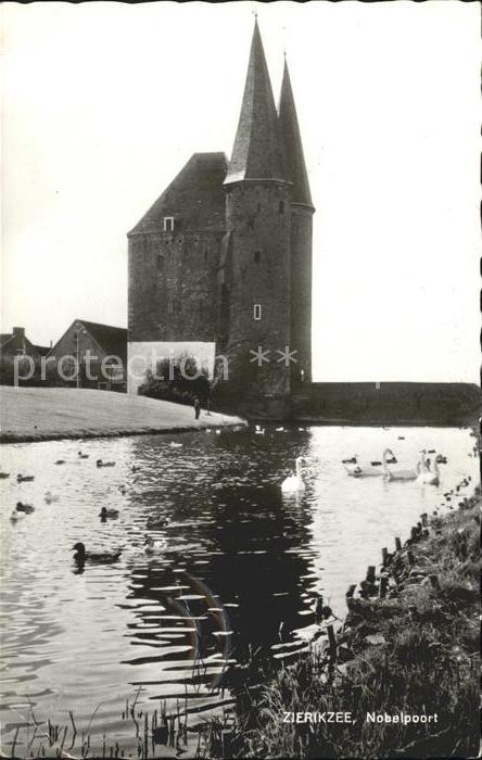 Zierikzee Nobelpoort Schwan Enten