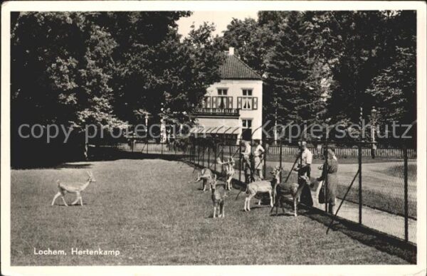 Lochem Hertenkamp Tierpark