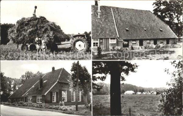 Lochem Kampeerboerderij Erve Harkink Landwirts
