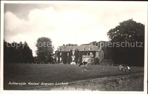 Lochem Achterzijde Kasteel Ampsen Schloss Kühe