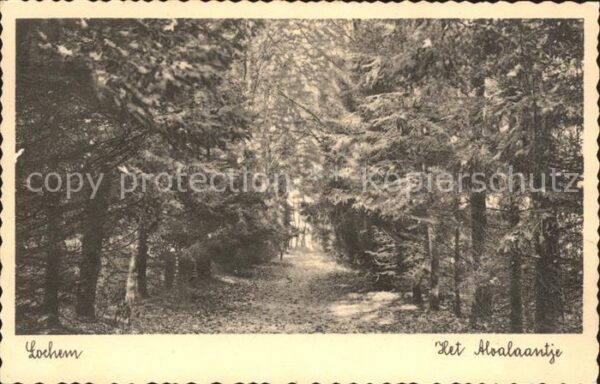 Lochem Aloalaantje Waldpartie