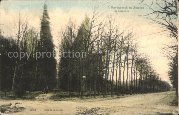 Lochem 't Ravenbosch in Ampsen
