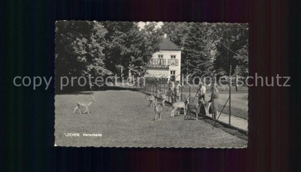 Lochem Hertenkamp Tierpark