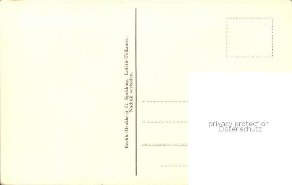 Lobith Rijngezicht Kran – Bild 2